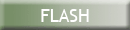 Flash animation